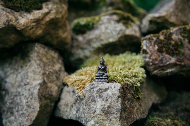 Mindfulness and Meditation Techniques